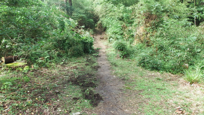竪土塁が続く城域の様子
