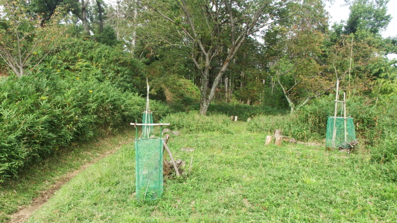 芥川城から見渡せる広範囲の市街地景観