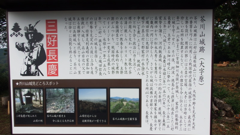 城域から見える遠景の山並みと市街地