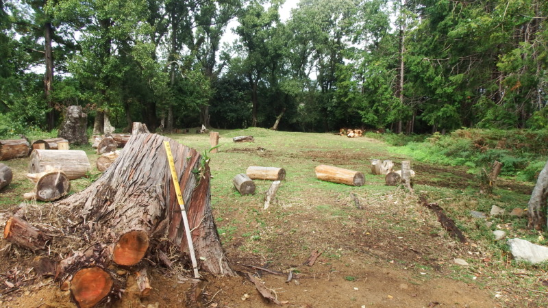 芥川城主郭部の平坦地