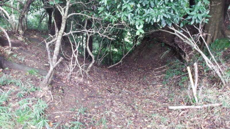 主郭付近から見た城内の様子