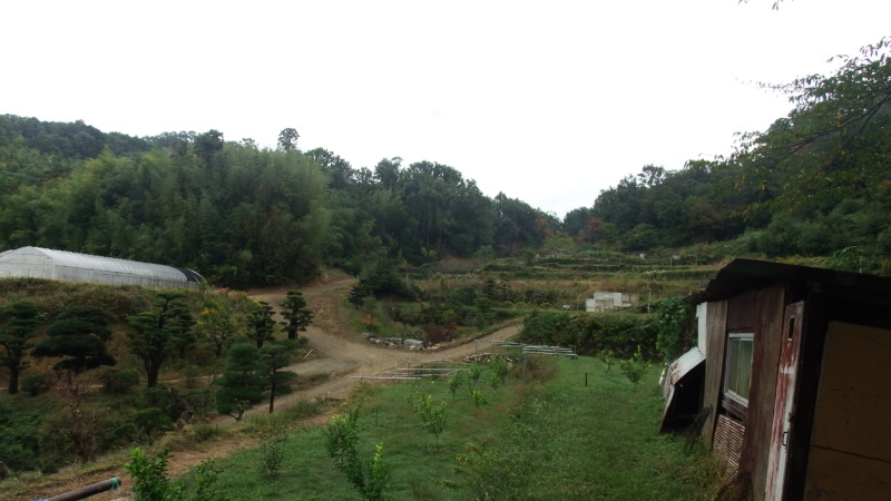 畑越しに見える芥川城の斜面
