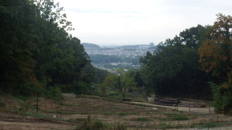 登城途中から振り返った市街地の眺望
