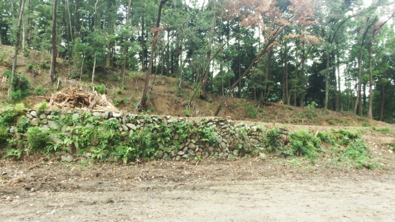 城域内で確認できる整地された区画