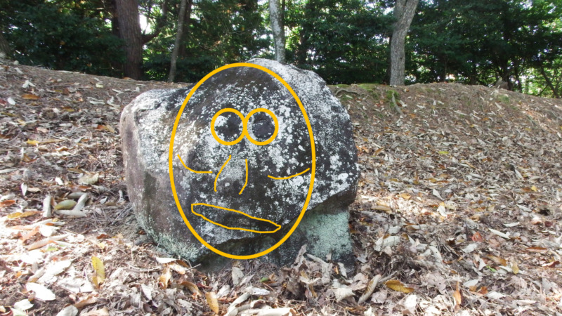 八木土城 現地写真19