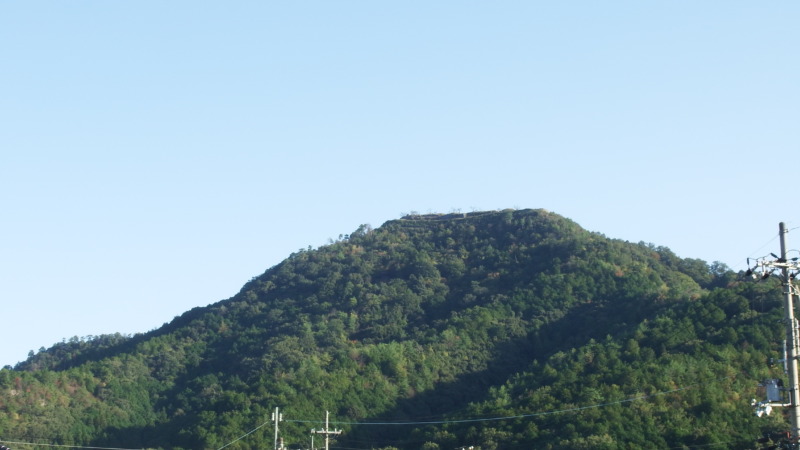 黒井城の山頂部を麓から望んだ遠景写真