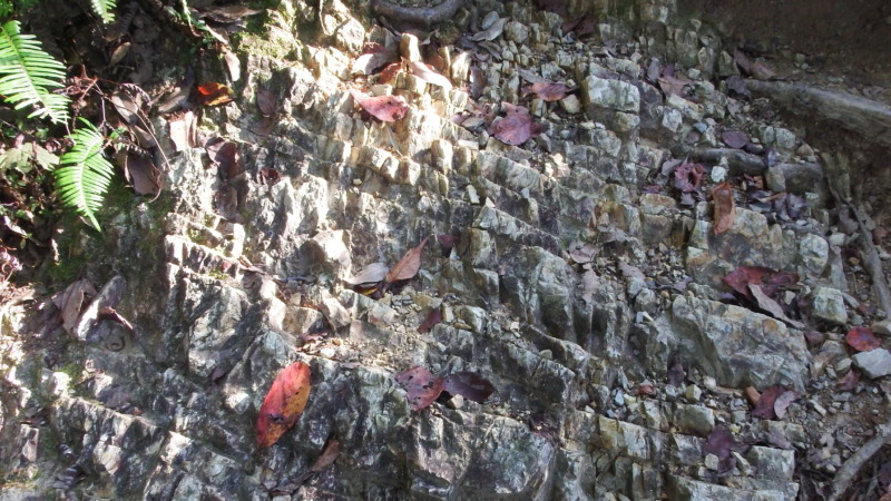 山頂石垣に見られるチャート岩の特徴的な割れ方