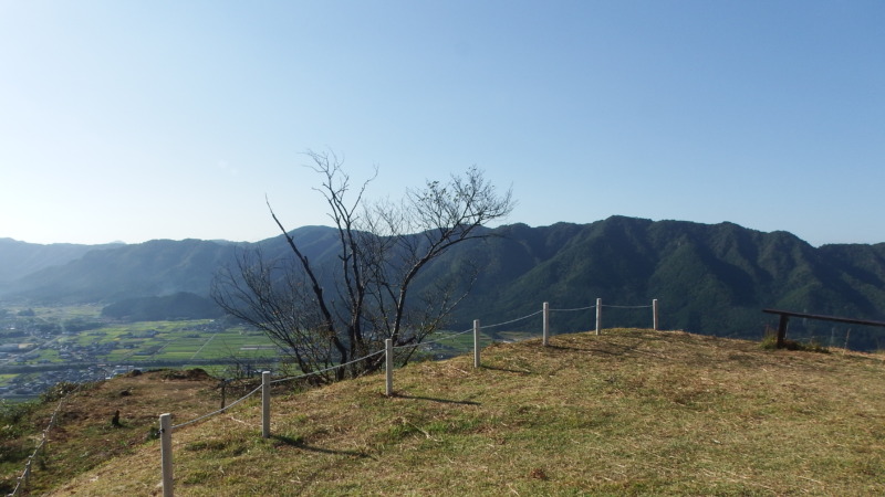 二の丸の開放的な空間と周囲の木々
