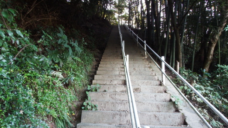 登城路の急階段と周囲の木々