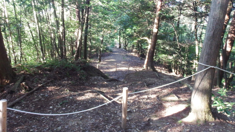 階段を登りきった後の休憩ポイントと眺望