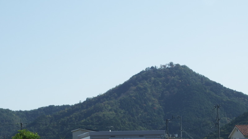 遠くから見た八上城の山容