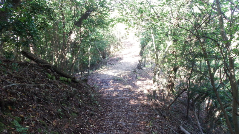 登城路の様子（5）