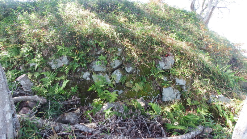 主郭周辺の石垣（砂岩系の石材）