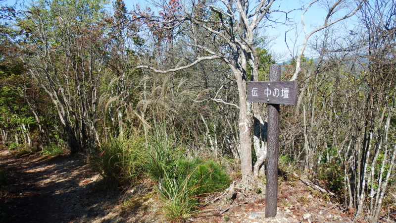 登城路の様子（1）