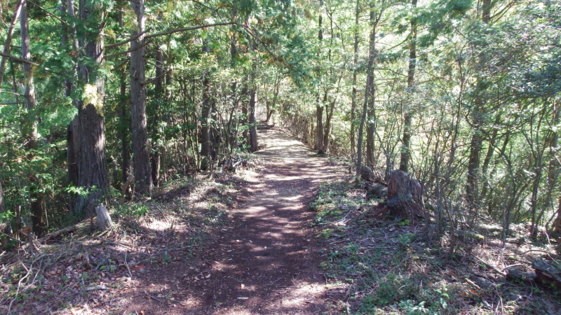 登城路の様子（2）