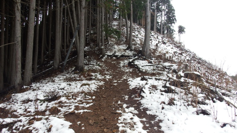 周山城の尾根部地形（明確な堀切や竪堀が見られない構造）