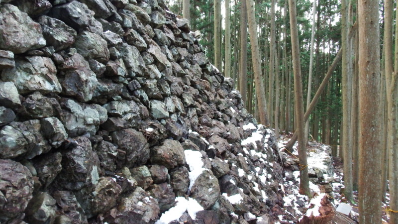 周山城城域内部の様子（整理された曲輪配置と動線）