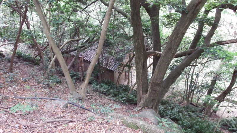 友ヶ島の散策路（島内周回ルートの道標・遊歩道）