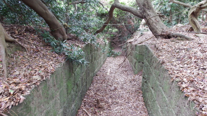 第３砲台跡のレンガ遺構と植生（廃墟美が際立つ景観）