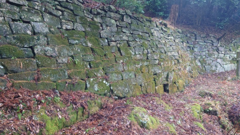 山口県光市 石城山神籠石 風景