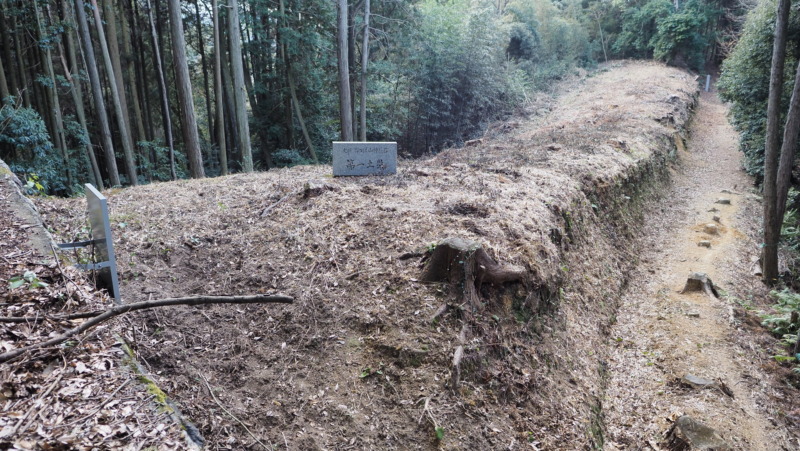おつぼ山神籠石の第一土塁（版築土塁の外観）
