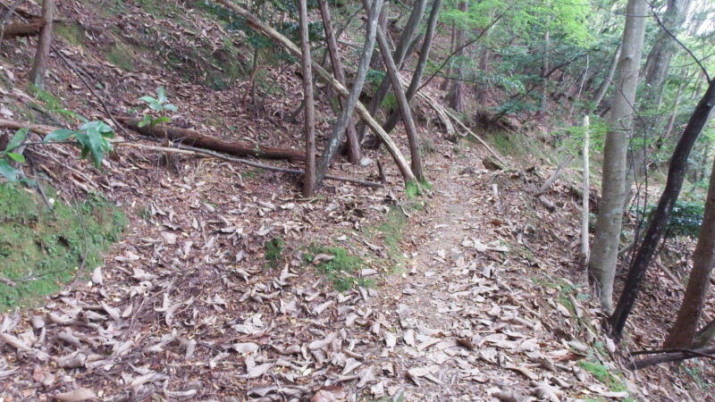 有子山城の石垣と曲輪の組み合わせ