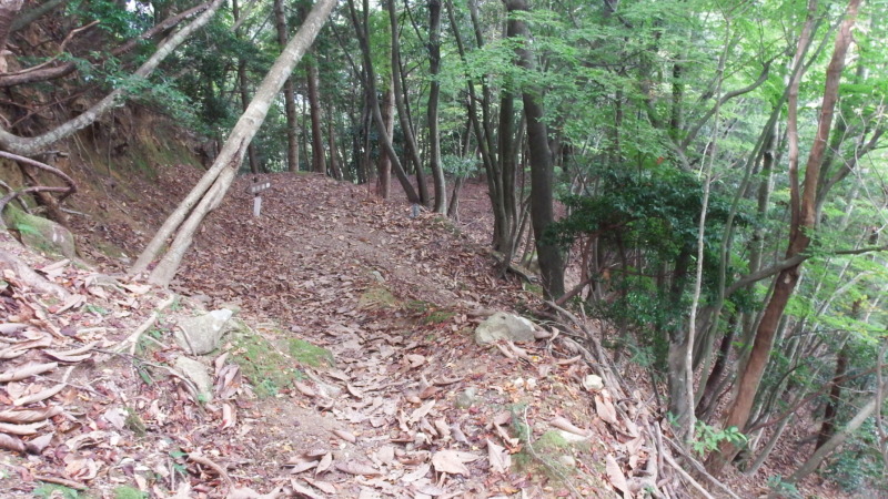 有子山城井戸曲輪付近の石垣と道