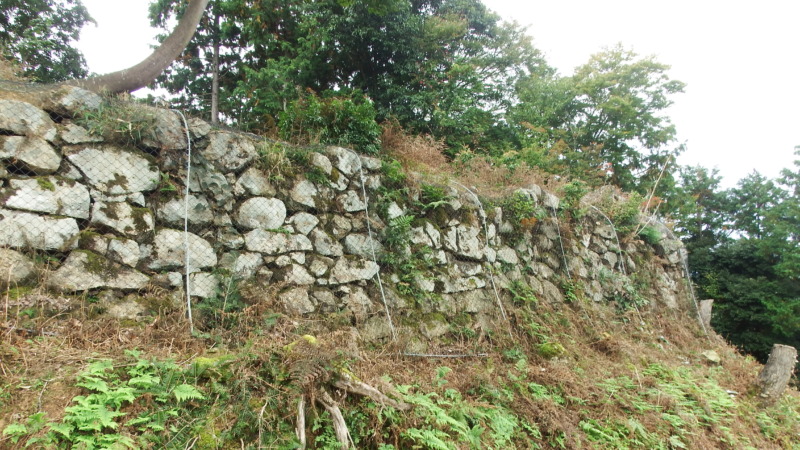 有子山城第五曲輪の石垣と展望