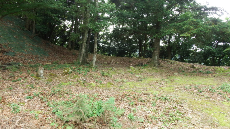 有子山城第五曲輪からの眺望