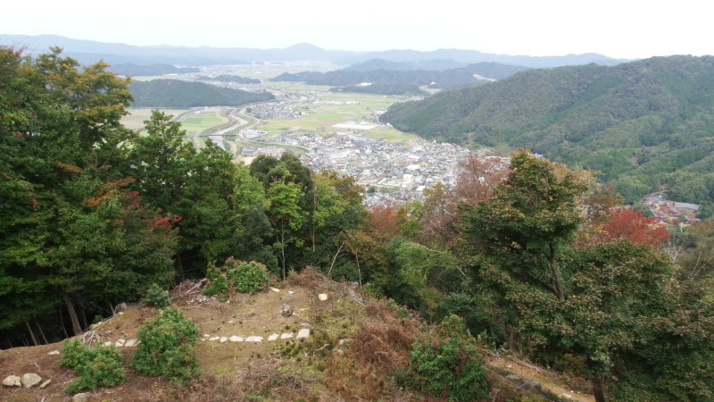 有子山城第五曲輪付近の開けた景色