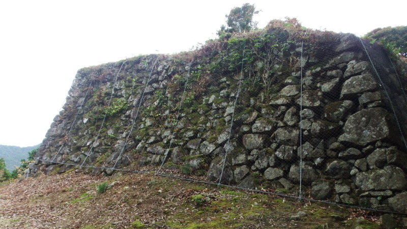 有子山城第四曲輪の石垣