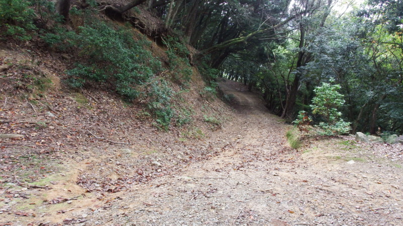 有子山城第四曲輪から先の道と車道らしき部分