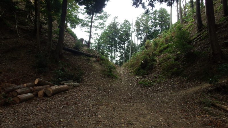 有子山城の大堀切（幅30m×深さ15m級の巨大堀切）