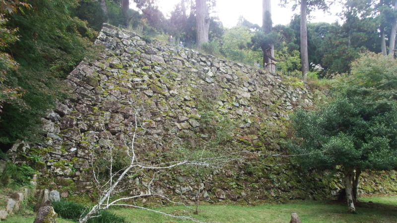 出石城の段々曲輪群と石垣