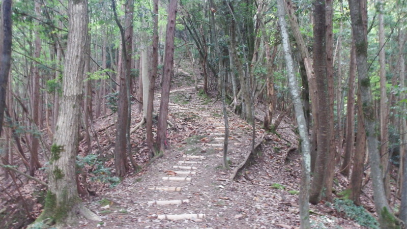 有子山城登城道の入り口と階段