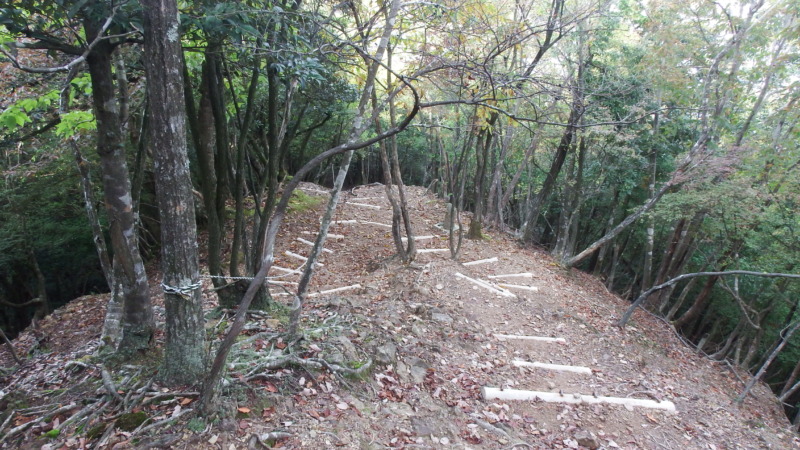 有子山城登城道の急峻な坂と木々