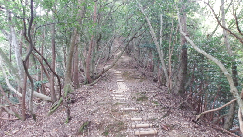 有子山城の難所「獅子の逆落とし」の急登坂