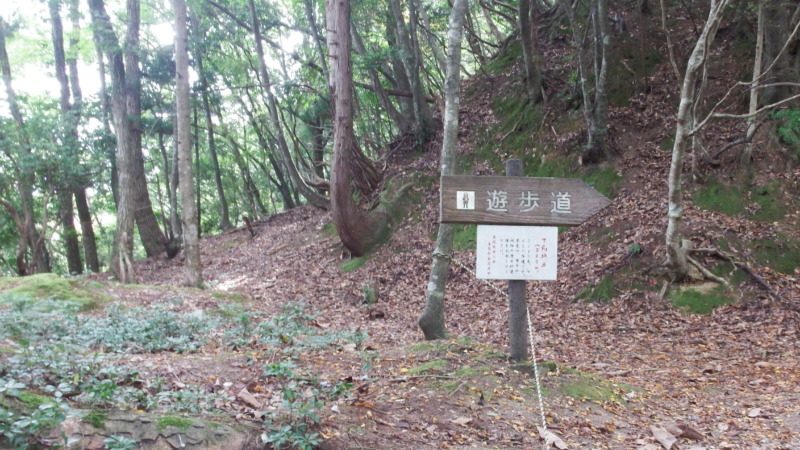 有子山城尾根道沿いの曲輪と石垣