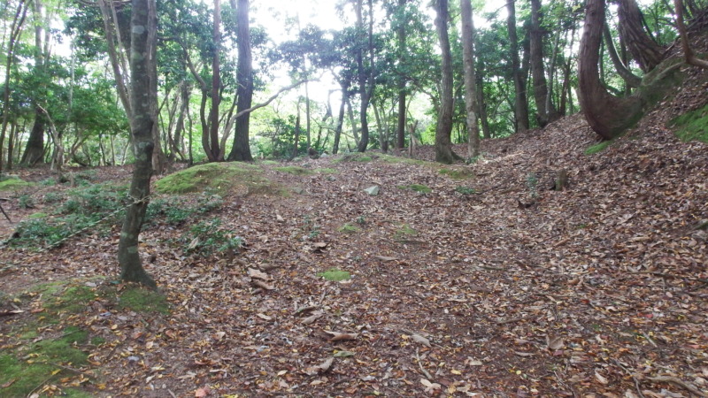 有子山城曲輪群の広がりと遺構