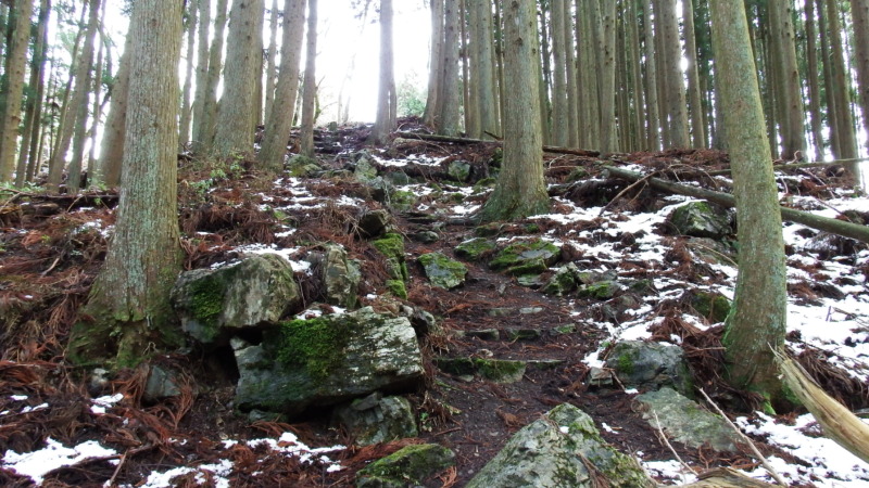 【推定】主郭内部の平場（本丸の中心寄り）