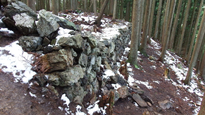 【推定】天守台（櫓台）候補：石垣が集中する区画