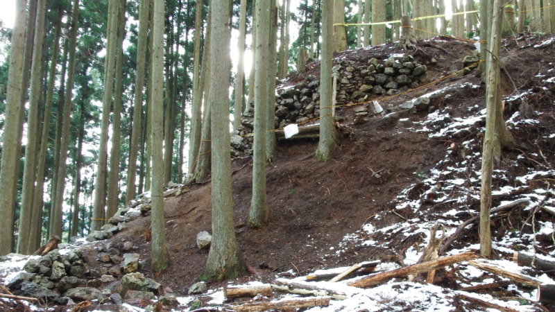 【推定】主郭北側：北虎口を抜けた先の尾根曲輪（下り基調の段郭）