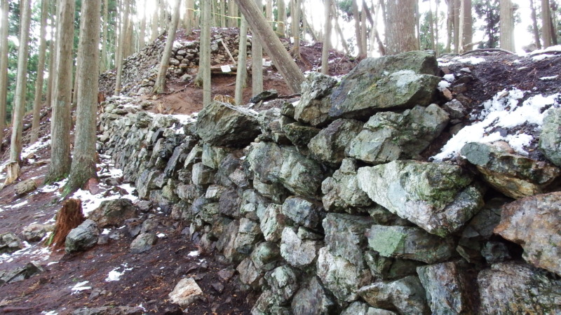 【推定】北尾根の曲輪列：尾根に沿って続く小郭
