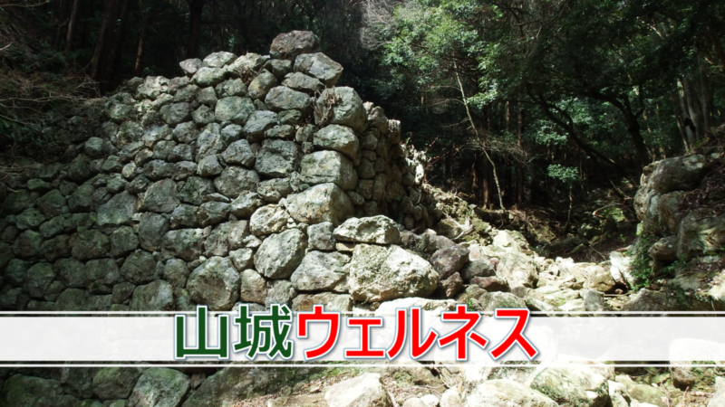 山城ウェルネス|歴史・ウェルネス・地域共鳴